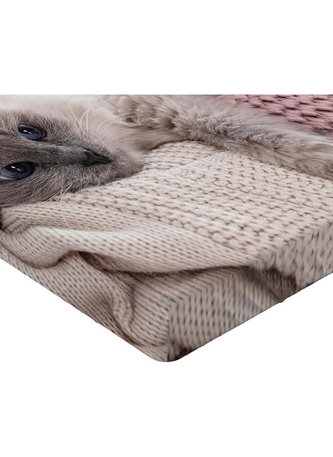 Ambesonne Cat Fitted Sheet Set