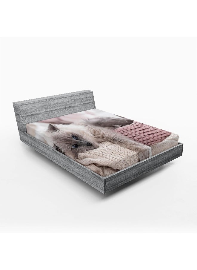 Ambesonne Cat Fitted Sheet Set