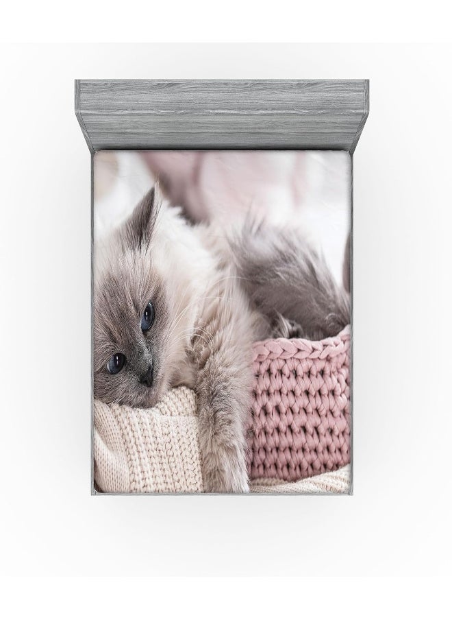 Ambesonne Cat Fitted Sheet Set