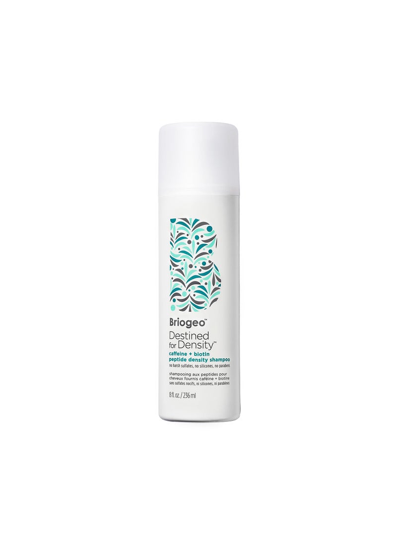 Briogeo Destined For Density Caffeine + Biotin Peptide Density Shampoo, Increases Hair Thickness and Density for Fine or Thinning Hair, Vegan, Cruelty-Free, 8 fl oz