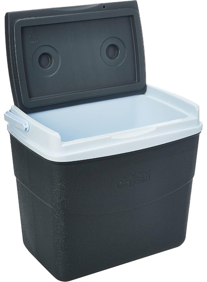 10L KeepCold Picnic Icebox (Grey) Orange 10Liters