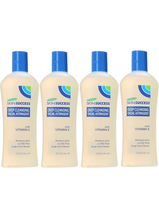 Skin Success Deep Cleansing Facial Astringent With Vitamin E, 8.5 Ounce (Pack Of 4)