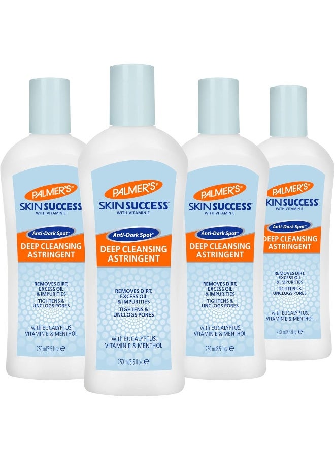 Skin Success Deep Cleansing Facial Astringent With Vitamin E, 8.5 Ounce (Pack Of 4)