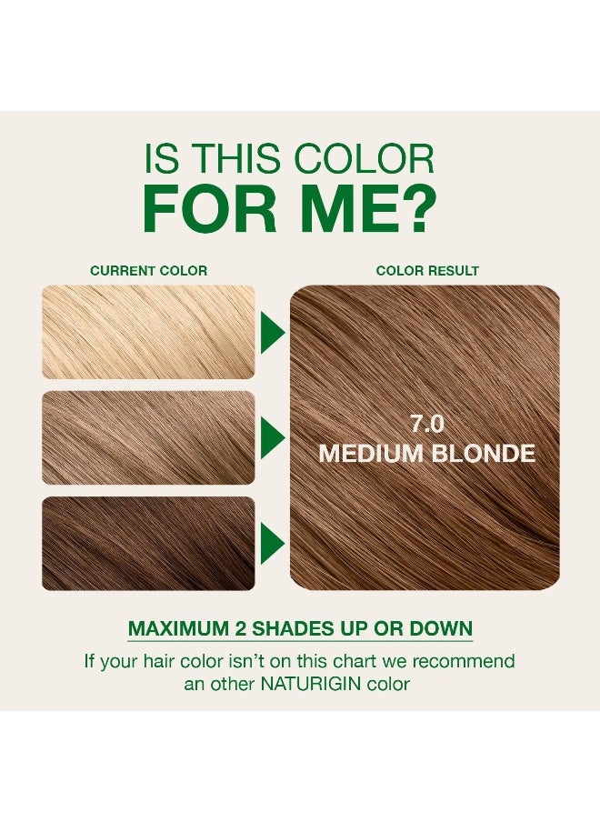 Natural Medium Blonde Permanent Hair Colour With Natural Ingredients - No Ammonia