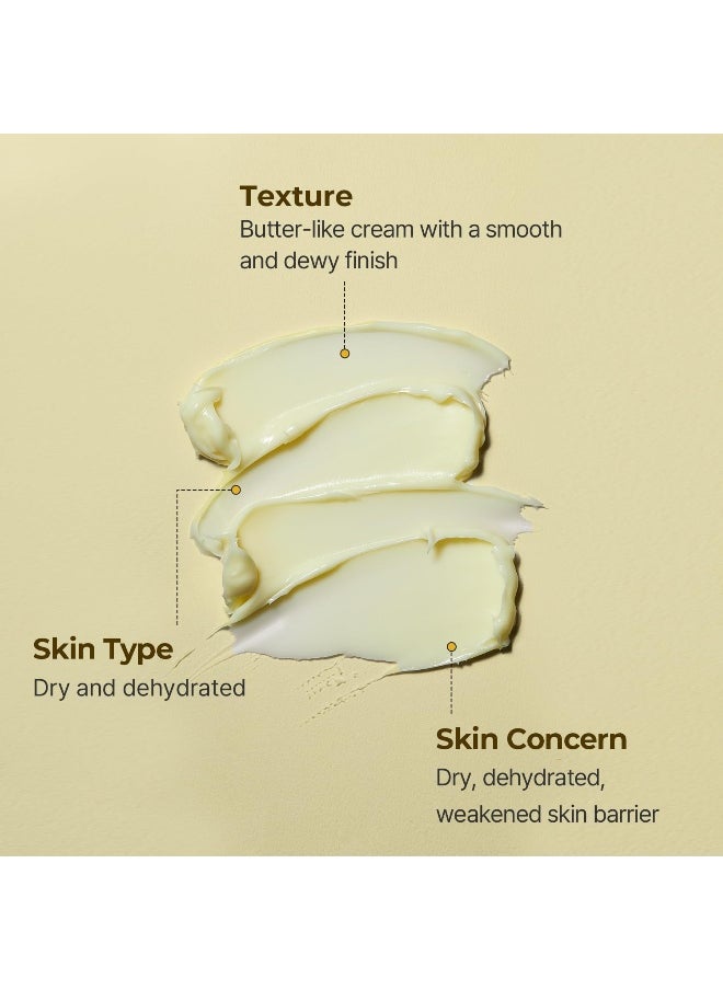 Solid In Ceramide Cream 70Ml (2.36 Fl. Oz.)
