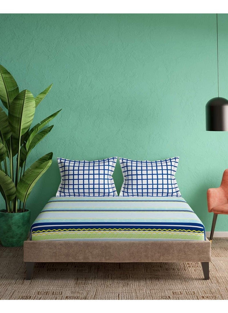 Portico New York Cadence 100% Cotton 144TC Super King Size Bedsheet with 2 Pillow Covers(274x274 cm)