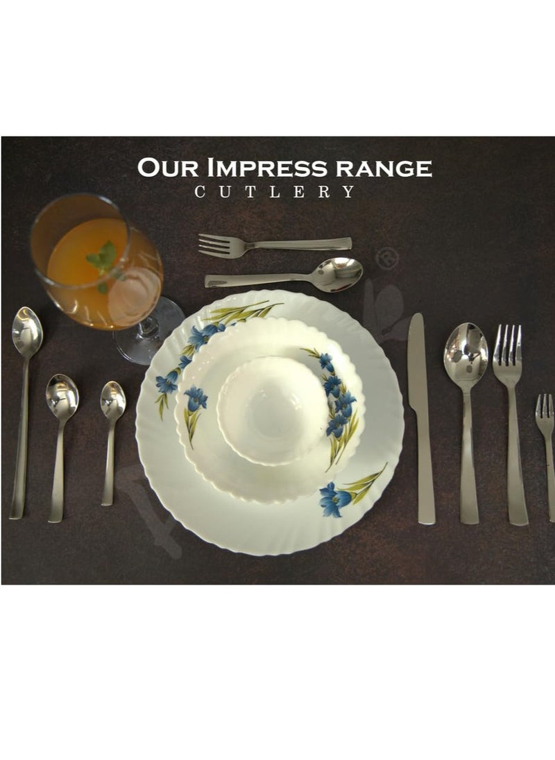 Parage Stainless Steel Spoon Set & Fork Set 12 Pieces for Tea, Coffee, Sugar, Condiments & Spices - Set of 12 Contains Spoons Set of 6 Spoon and Fork Set of 6, Mirror Polished