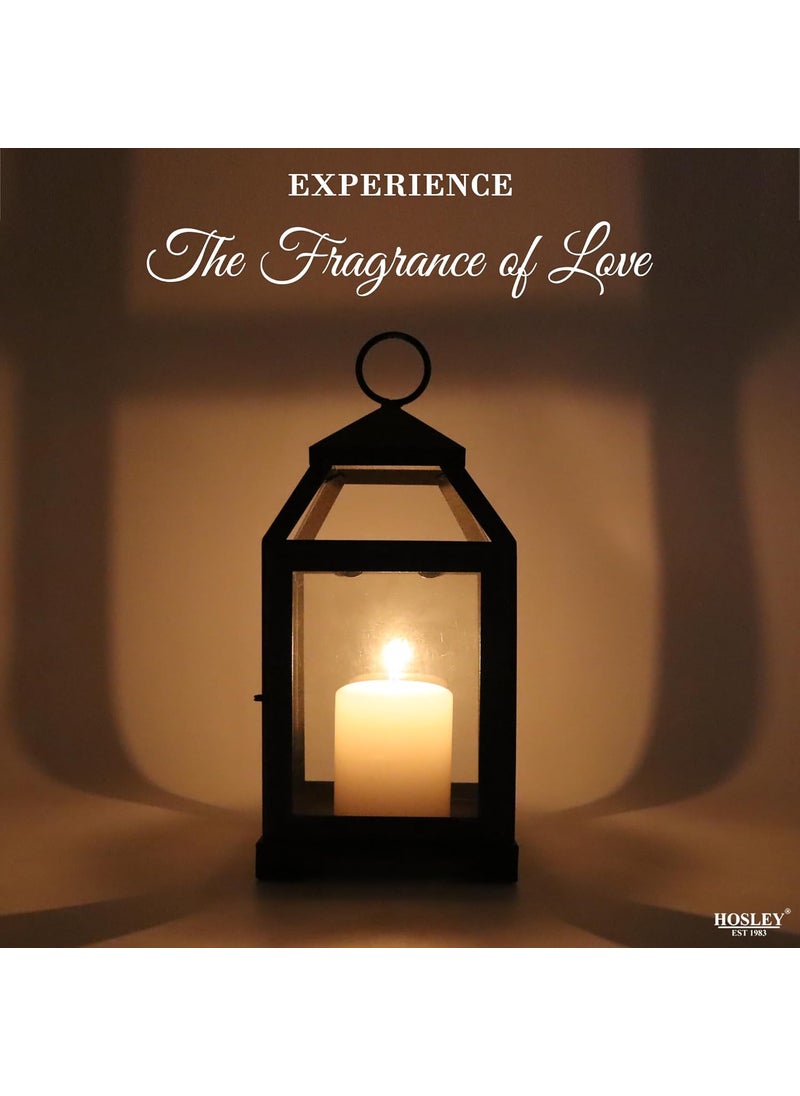 HOSLEY Classic Style Glass Iron Lantern with One Pillar Candle|Black Iron Hanging Lantern|Lantern for Home Decoration|Candle Holders for Home Decor|Pack of 1 (12 Inch Long)
