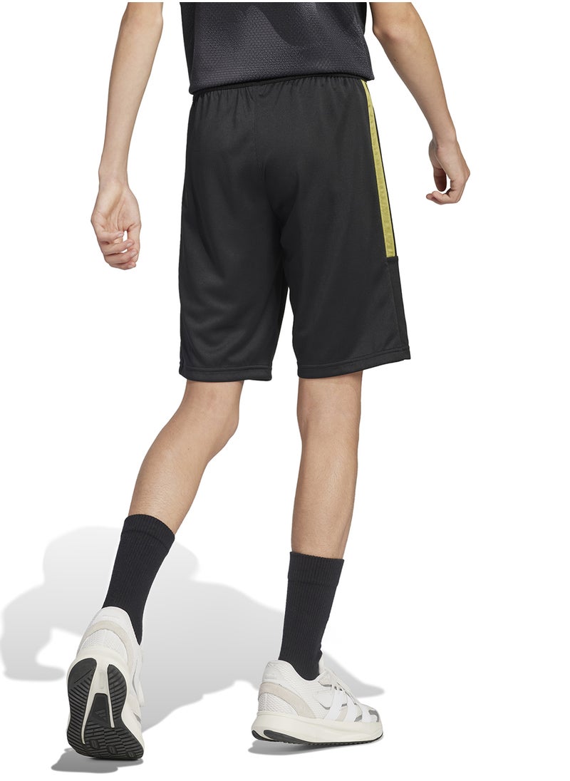 Youth House Of Tiro Colors Of Football Shorts