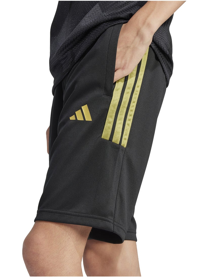 Youth House Of Tiro Colors Of Football Shorts