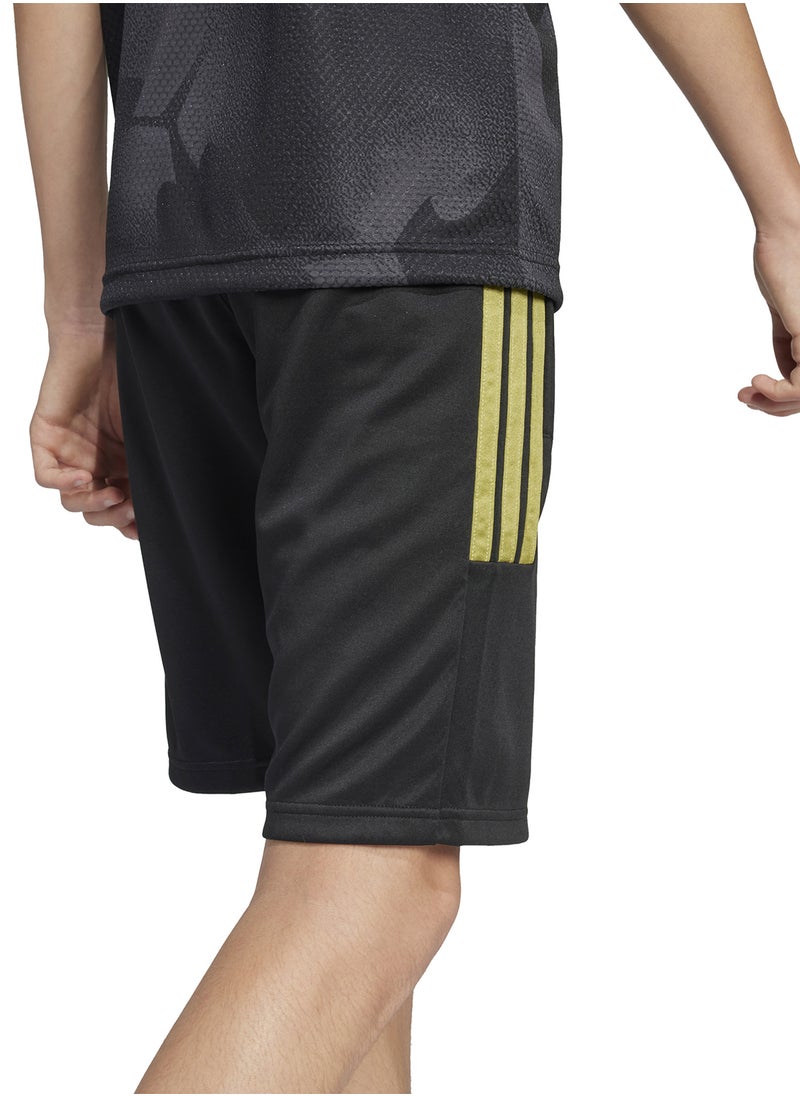 Youth House Of Tiro Colors Of Football Shorts