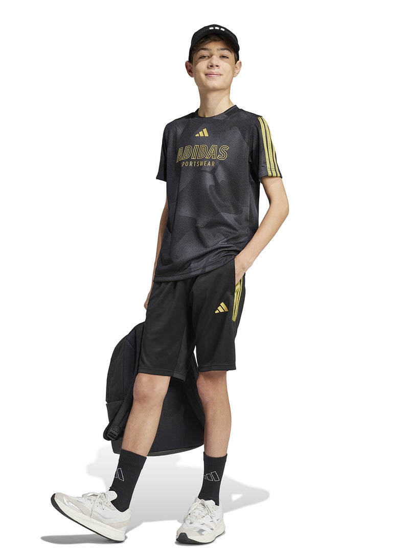 Youth House Of Tiro Colors Of Football Shorts