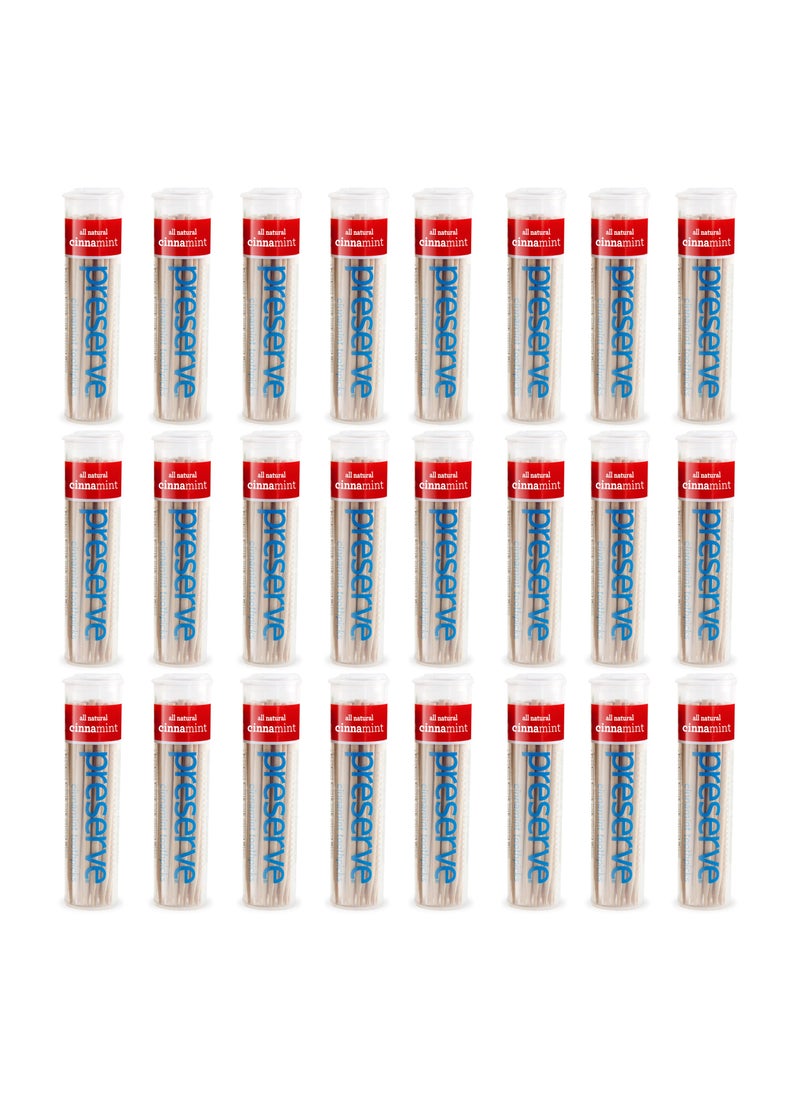 Preserve Toothpicks, Cinnamint, 24 canisters