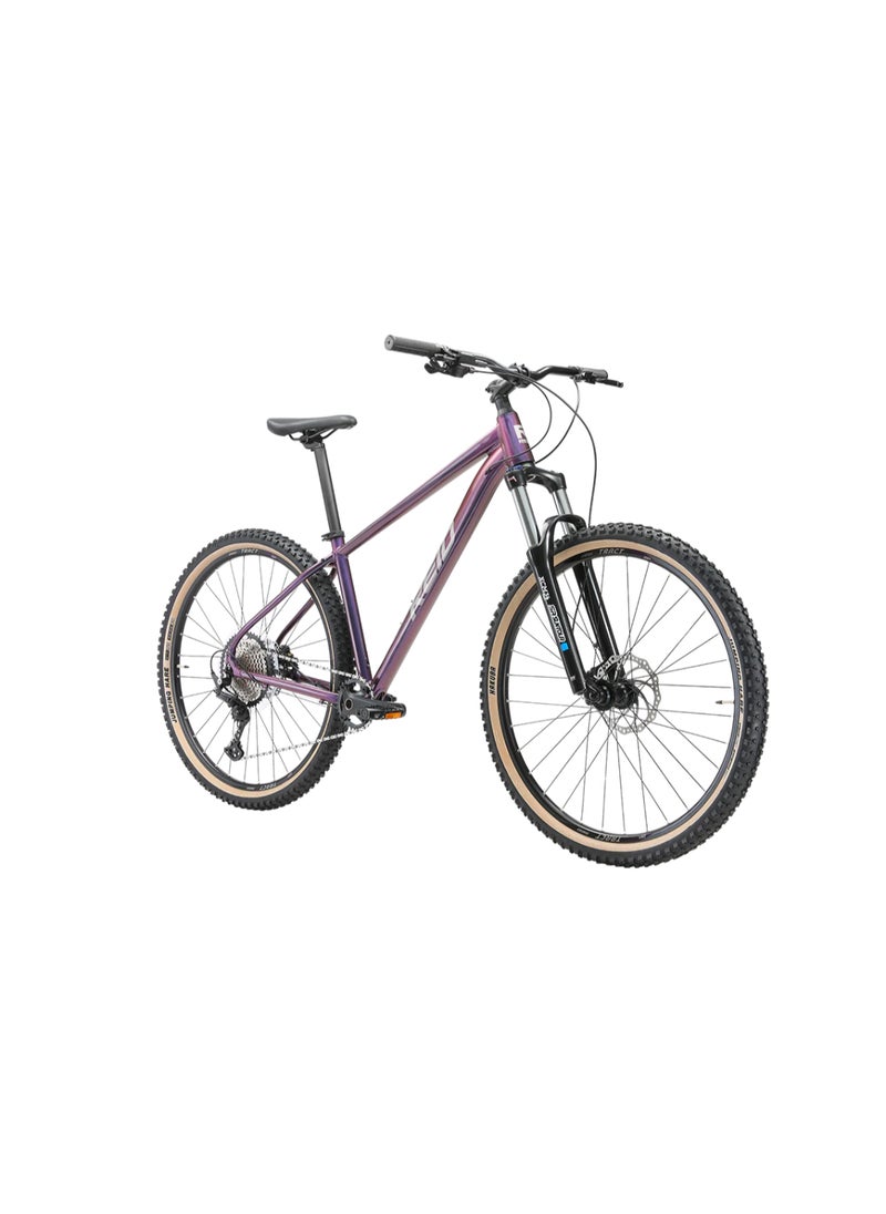 REID CYCLES By Adventure HQ | TRACT 4