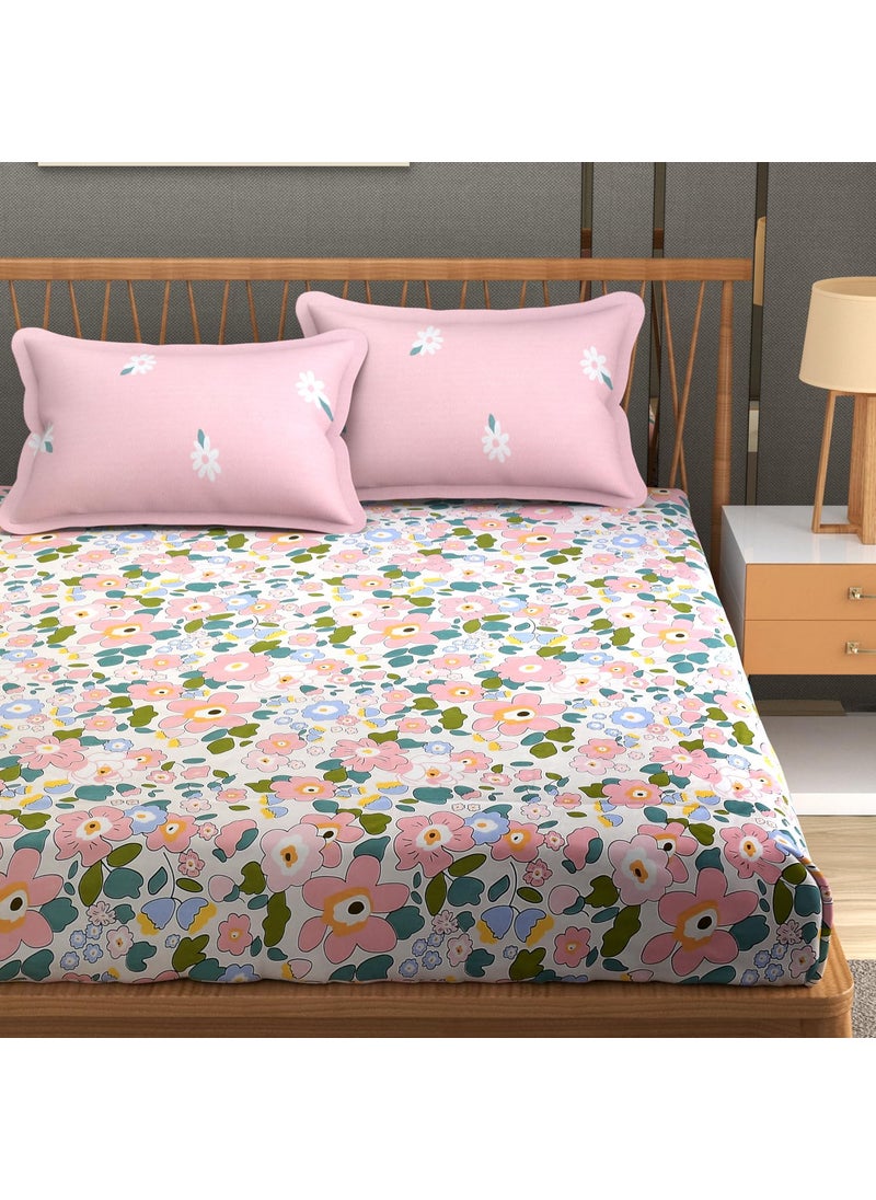 Homefab India 210 TC Glace Cotton King Size BedSheet with 2 Pillow Covers - (108x92 inches) - Floral, Pink