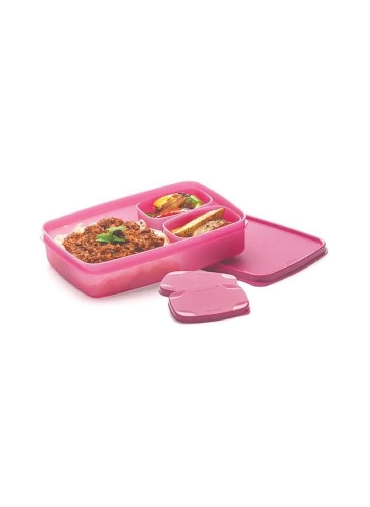 Signoraware Compact Lunch Box 850Ml