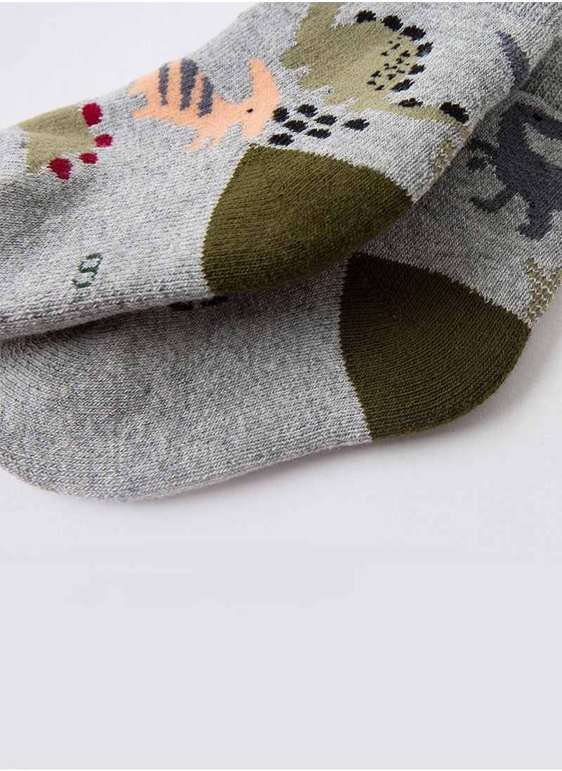 Boys' Dinosaur Socks Set (2 Pairs)