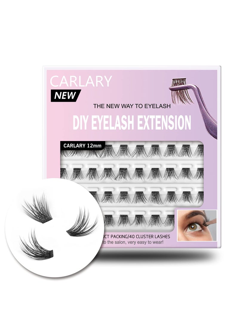 DIY Eyelash Extension, Individual Lashes, 3D Effect Reusable 40 Cluster Lashes, C Curl Fluffy Wispy Individual Eyelash Clusters for Home Eyelash Extensions (12mm)