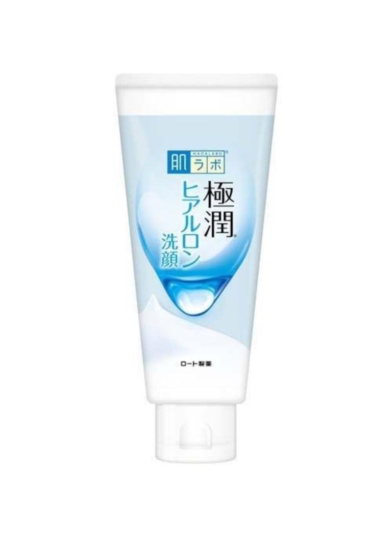 Hada Labo Rohto Gokujun Hyaluronic Face Wash - 100g, White, 3.52 Ounce (Pack of 1)