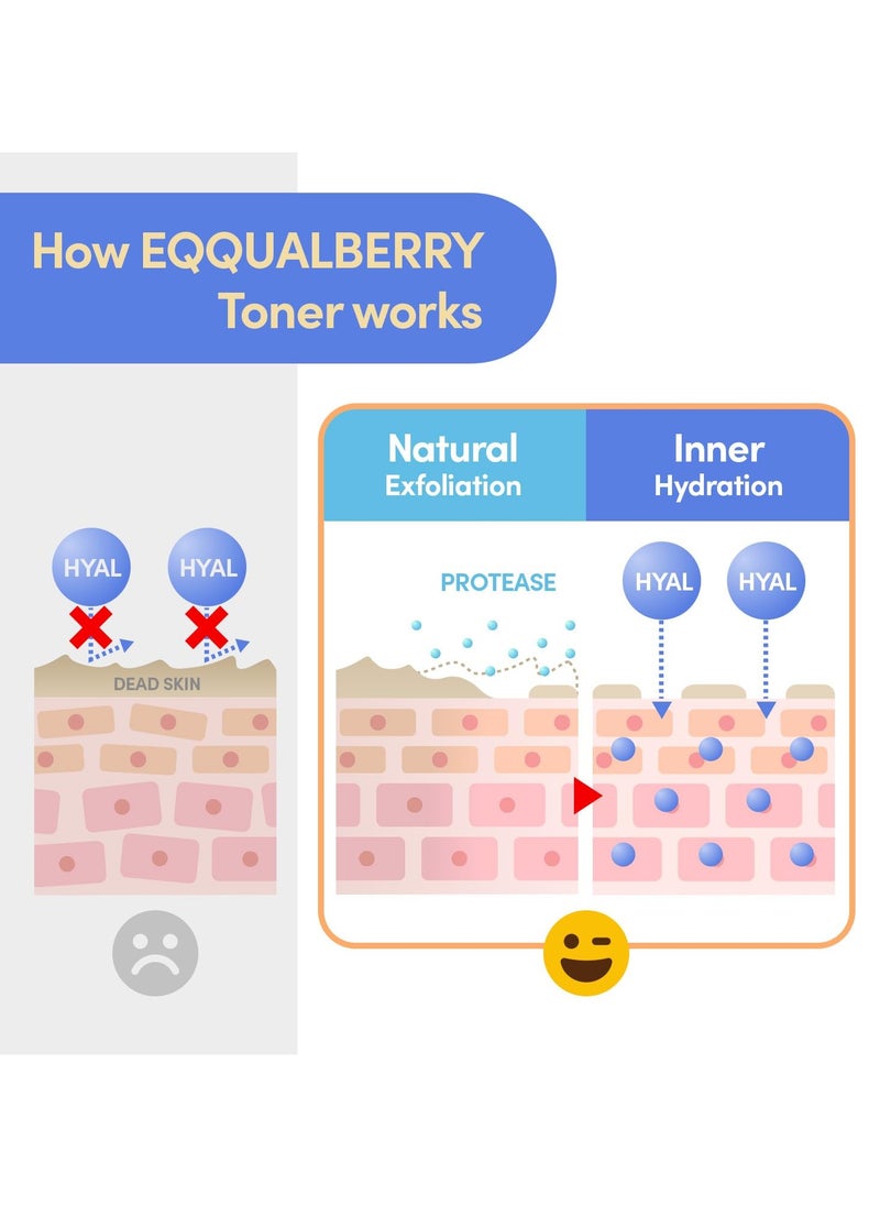 Swimming Pool Toner - Gentle Exfoliating Toner with Natural Enzyme | Boosted Hydration with Hyaluronic Acid | Daily Toner for Sensitive Skin | Korean Skincare, 10.14 Fl. Oz / 300ml