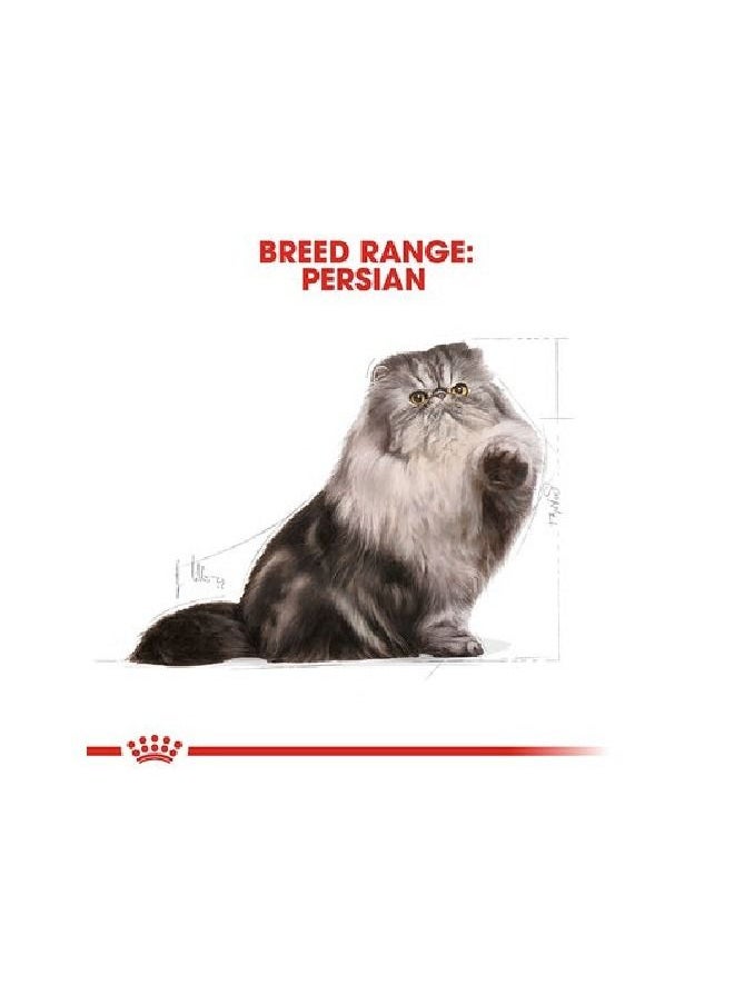 ROYAL CANIN B&K Feline Breed Nutrition Persian Adult Cat Dry Food 2kg