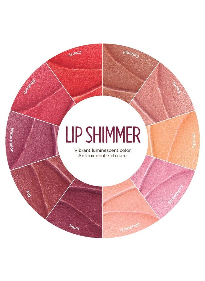 Burts Bees Lip Shimmer Plum .9 Ounce