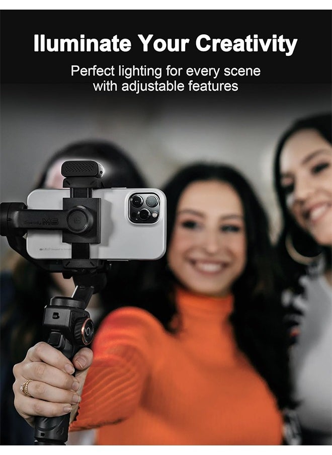 hohem iSteady M6 Kit Gimbal Stabilizer for Smartphone, 3-Axis Phone Gimbal with AI Tracking, Magnetic Fill Light, 18H Long Lasting Battery Stabilizer for iPhone & Android, Ideal for Video Recording
