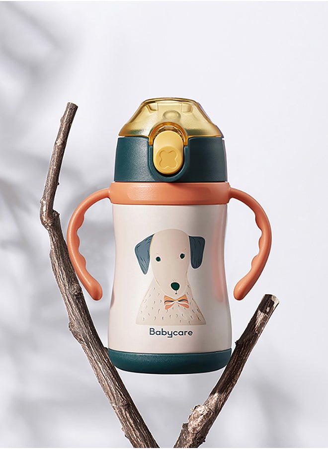 Kids Vacuum Bottle - Bernese Dog