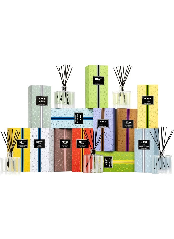 NEST Fragrances Moroccan Amber Scented Reed Diffuser, 5.9 oz