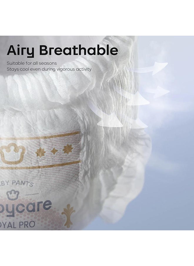 Babycare - Royal Baby Diapers, Size 5 (12–17 Kg), 36 Pieces, BPA-Free, Non-Toxic, Soft and Breathable, Leak-Proof, Ultra-Absorbent, Hypoallergenic, Secure Fit, Gentle on Baby Skin, Comfortable for Crawling, Long-Lasting Dryness, Easy to Use, Safe for Toddlers, Trusted Baby Protection
