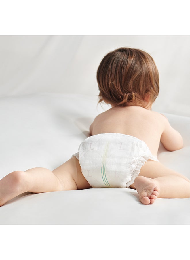 Royal Baby Diaper Pants - Size 5 - 12-17 Kg - 32 Pieces