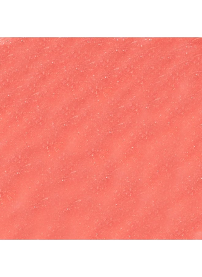 Usa Tinted Lip Gloss Moisturizer Plumper