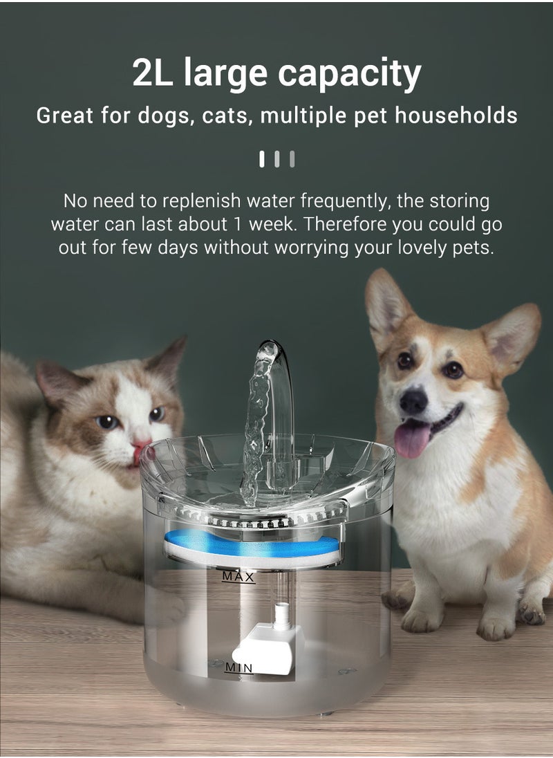 Cat Water Fountain, Dog Water Dispenser, Automatic Pet Drinking Fountain with Faucet Kits, 64oz and 2L Super Quiet, Transparency