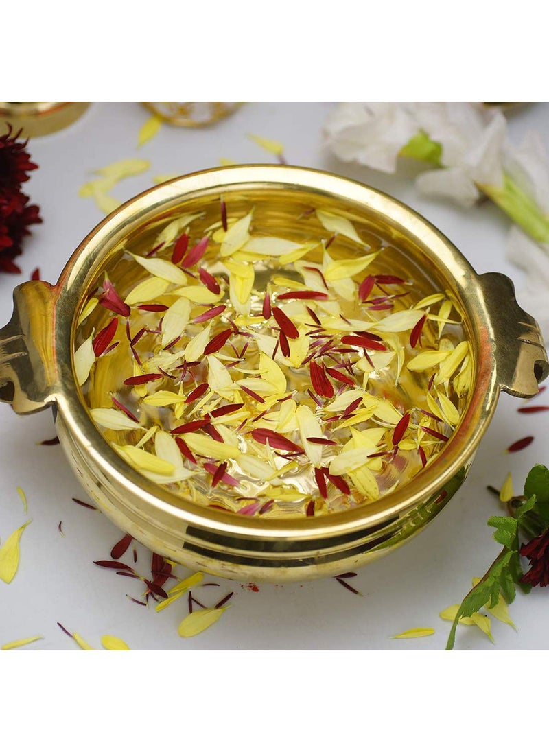 ROLIMOLI Pure Brass Plain Urli Decorative Bowl Diameter (8inch) Handcrafted Bowl for Floating Flowers and Tea Light Candles Home,Office and Table Decor Special for Diwali Gift