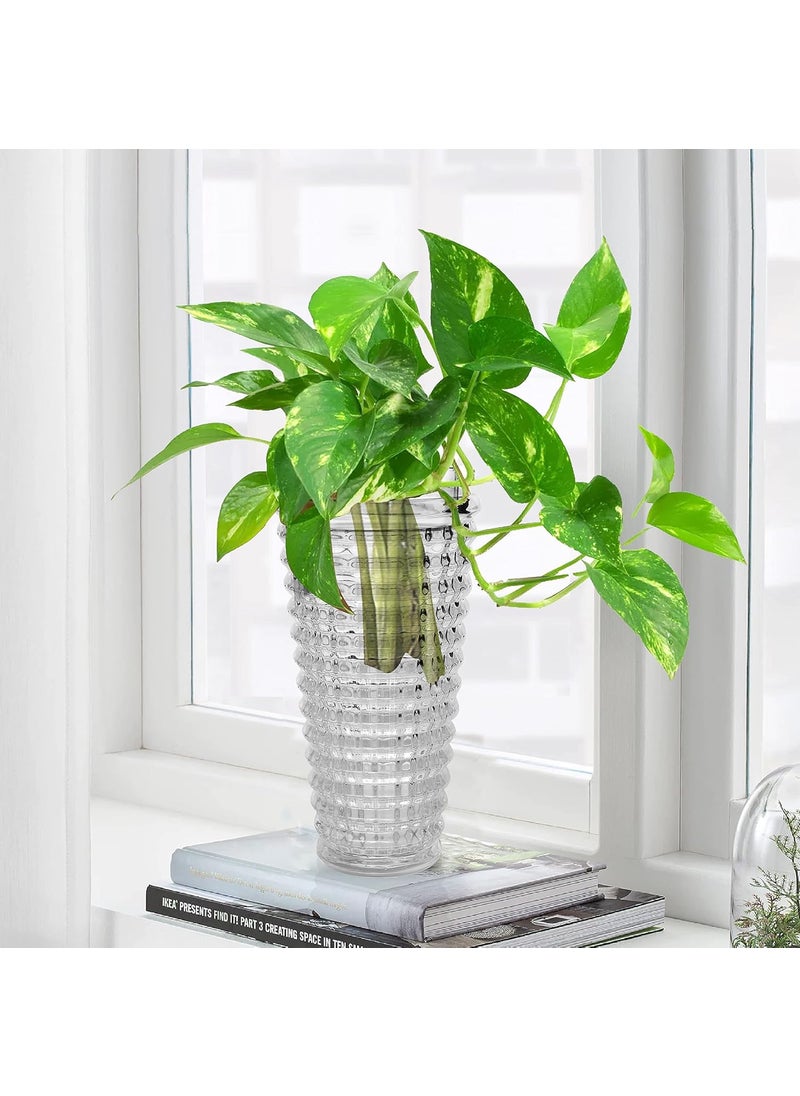 Pure Source India Glass Round Rib Flower Vase | Money Plant Pot | Without Flower/Money Plant (Heavy Weight - Crystal Clear 8 x 4 Inch)