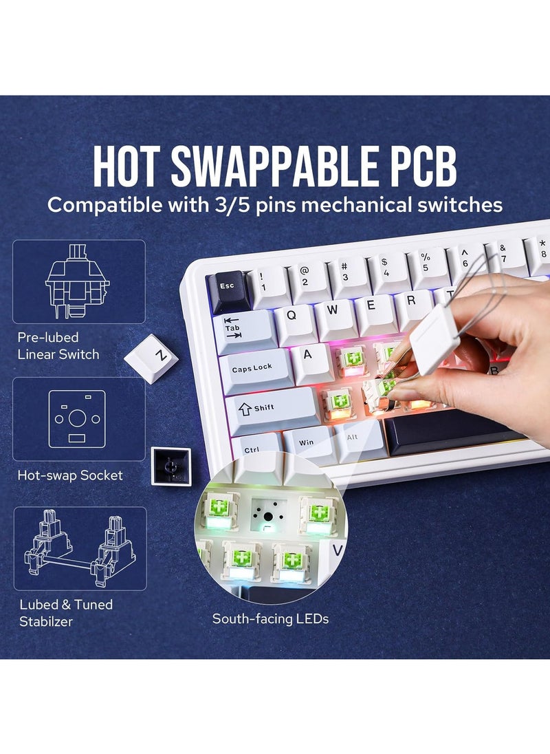 F65 65% Wireless Mechanical Keyboard, Hot Swappable Nimbus Switch Gasket Custom Gaming Keyboard with Five-Layer Padding, RGB Backlit, Bluetooth/2.4GHz/USB-C