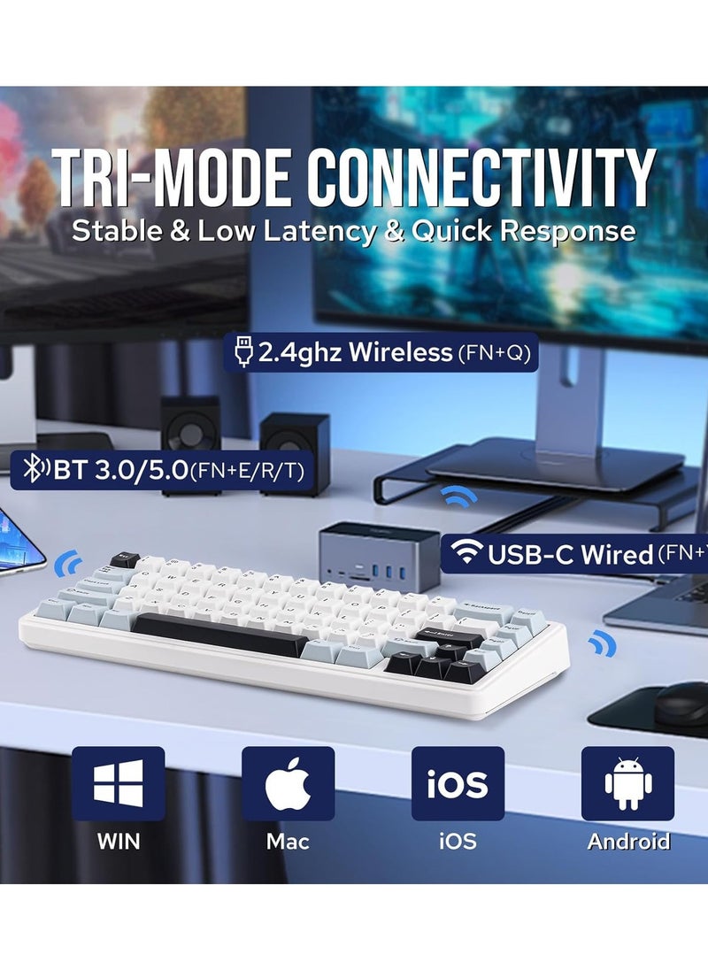 F65 65% Wireless Mechanical Keyboard, Hot Swappable Nimbus Switch Gasket Custom Gaming Keyboard with Five-Layer Padding, RGB Backlit, Bluetooth/2.4GHz/USB-C