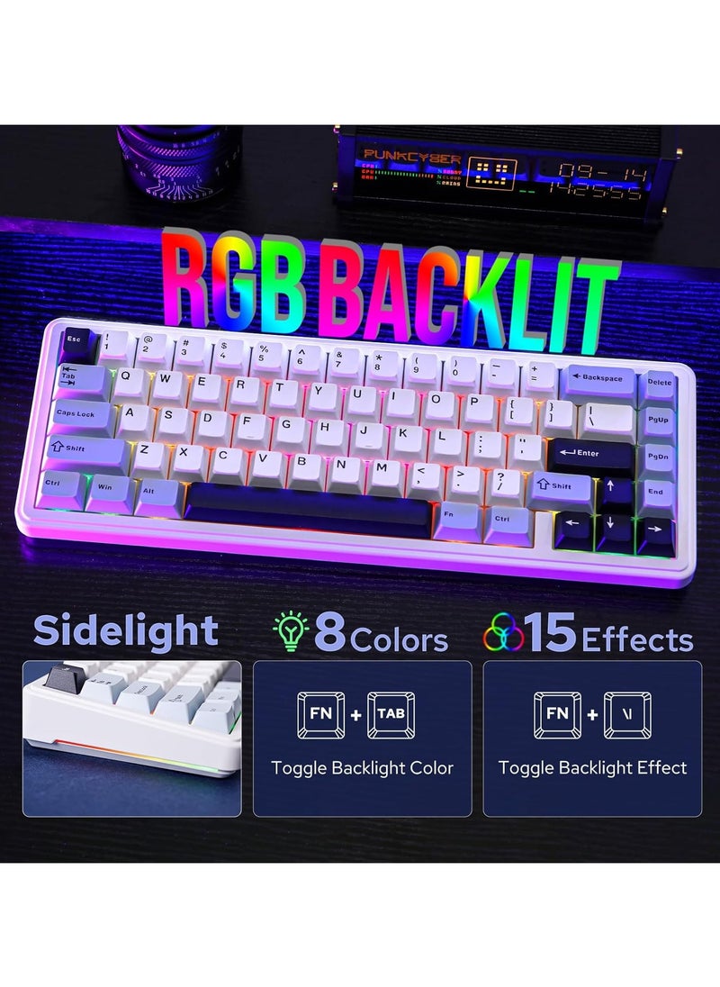 F65 65% Wireless Mechanical Keyboard, Hot Swappable Nimbus Switch Gasket Custom Gaming Keyboard with Five-Layer Padding, RGB Backlit, Bluetooth/2.4GHz/USB-C
