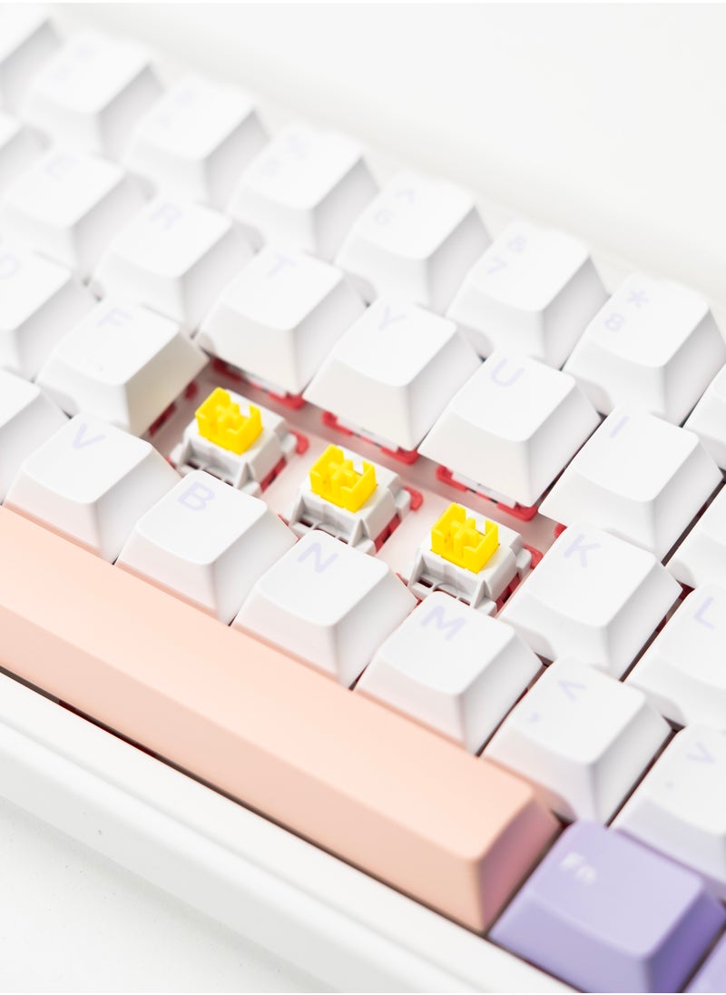 F65 65% Wireless Mechanical Keyboard, Hot Swappable Nimbus Switch Gasket Custom Gaming Keyboard with Five-Layer Padding, RGB Backlit, Bluetooth/2.4GHz/USB-C