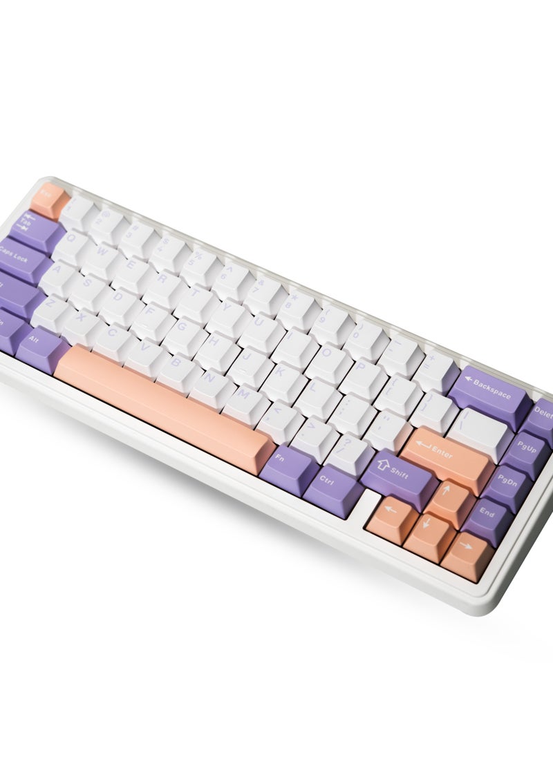 F65 65% Wireless Mechanical Keyboard, Hot Swappable Nimbus Switch Gasket Custom Gaming Keyboard with Five-Layer Padding, RGB Backlit, Bluetooth/2.4GHz/USB-C