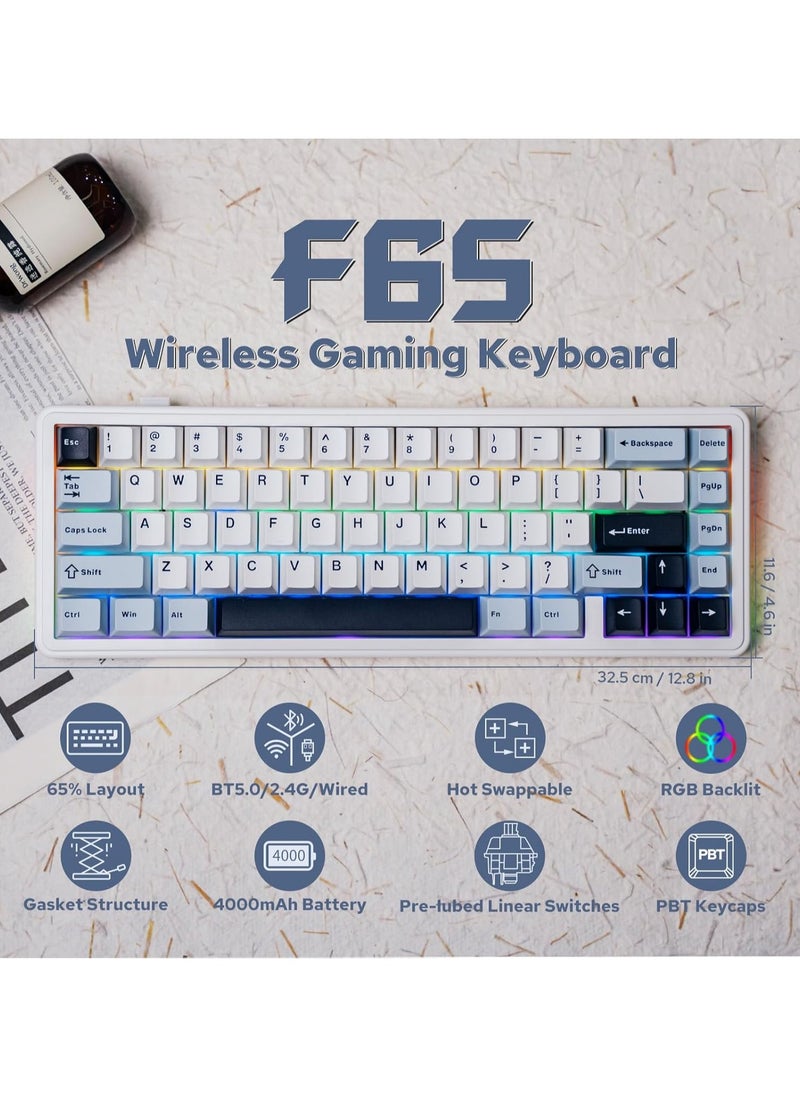 F65 65% Wireless Mechanical Keyboard, Hot Swappable Nimbus Switch Gasket Custom Gaming Keyboard with Five-Layer Padding, RGB Backlit, Bluetooth/2.4GHz/USB-C