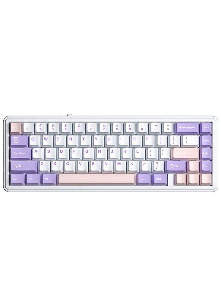 F65 65% Wireless Mechanical Keyboard, Hot Swappable Nimbus Switch Gasket Custom Gaming Keyboard with Five-Layer Padding, RGB Backlit, Bluetooth/2.4GHz/USB-C