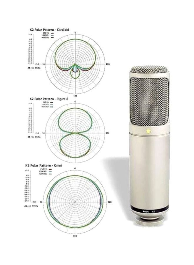 Dual Condenser Valve Microphone Silver