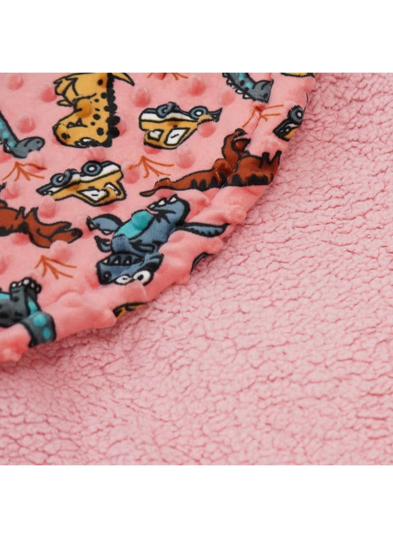 Florida All Season Hooded Baby Blanket Swaddler Wrapper Flannel Soft and Comfortable for New Born Baby Girls and Boys-Wrap Warm Rose