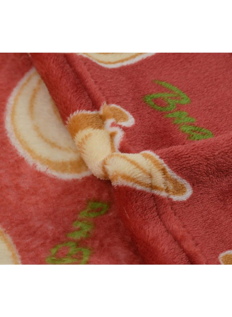 Florida All Season AC Baby Blanket Swaddler Wrapper Flannel Soft and Comfortable for 0-5 Years Babies with Banana Print