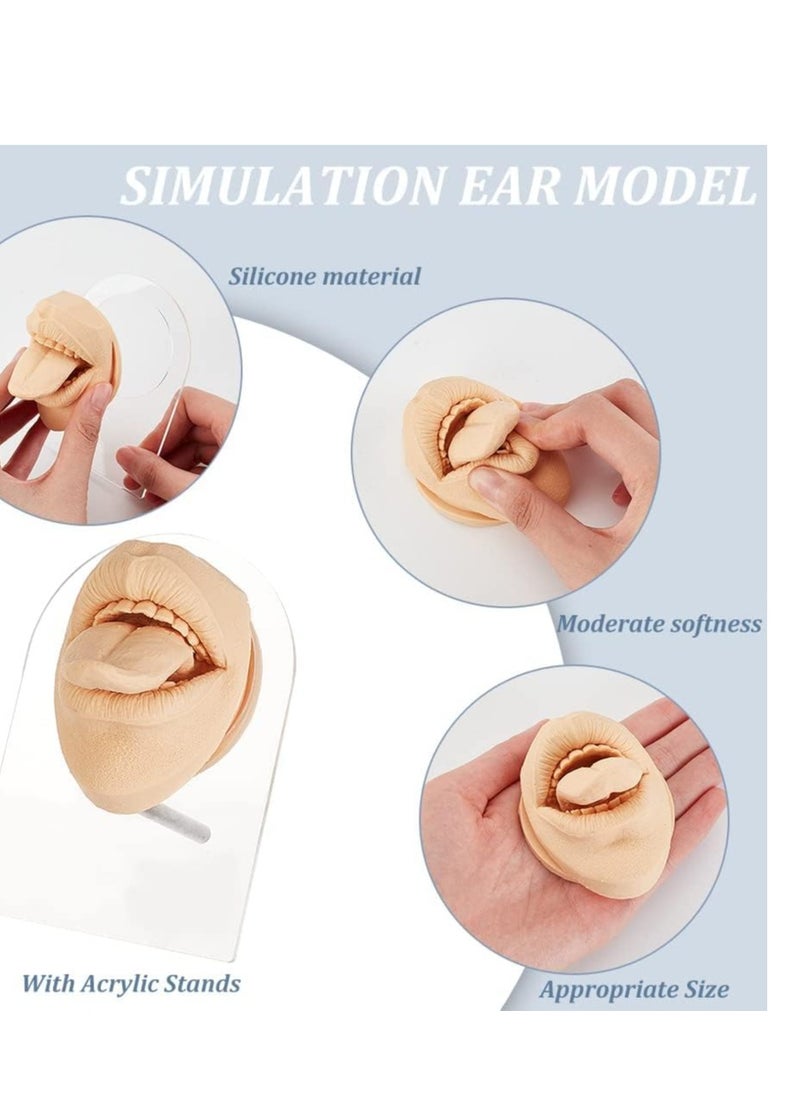 Silicone Tongue Mouth Model, Flexible Model Body Part Display with Acrylic Stand Lifelike Human Model Simulation for Jewelry Display Teaching Tool Earrings Practice (Skin Color)