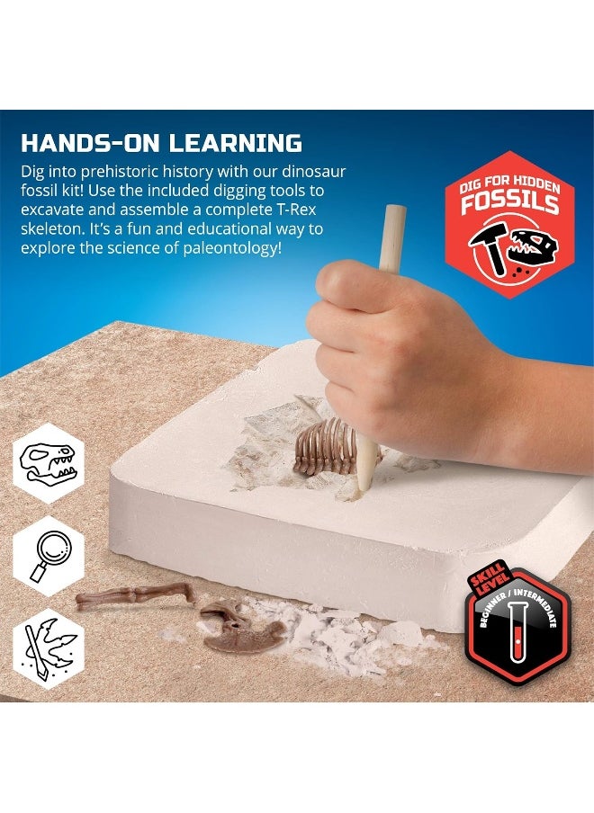 Discovery Mindblown 3D T-Rex Fossil Excavation Kit