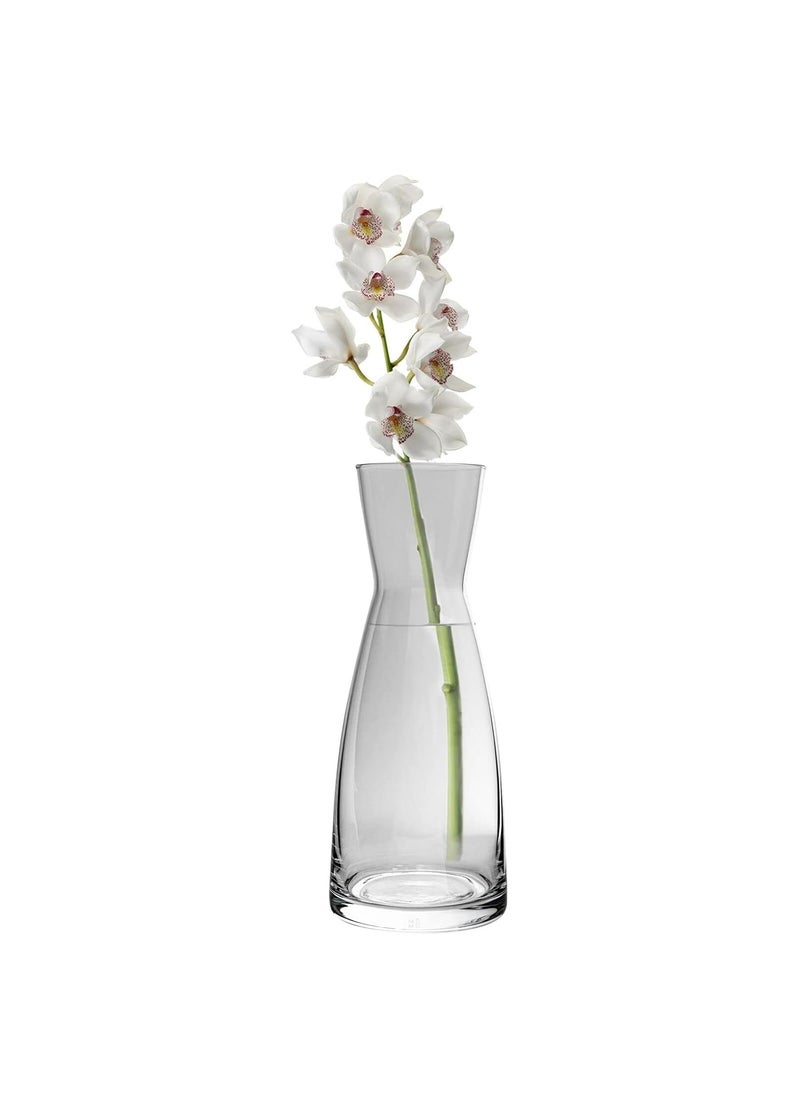 Bormioli Rocco Glass Vase 20.6 Cms 1 Pc, Ypsilon Caraffa Transparent