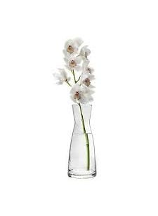 Bormioli Rocco Glass Vase 20.6 Cms 1 Pc, Ypsilon Caraffa Grey Colour Vase for Home Decor