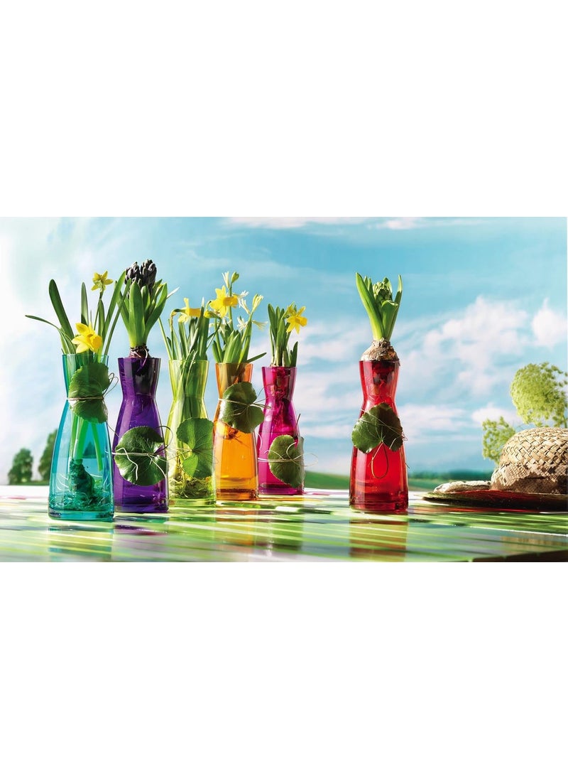 Bormioli Rocco Glass Vase 20.6 Cms 1 Pc, Ypsilon Caraffa Grey Colour Vase for Home Decor
